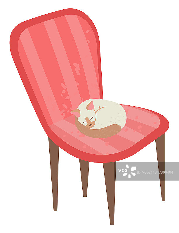 扶手椅上躺着熟睡的小猫图片素材