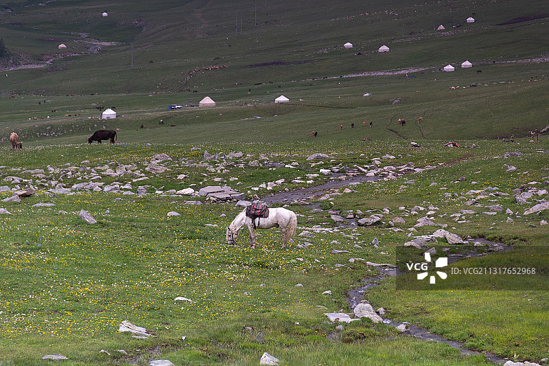 新疆 北疆 伊犁哈萨克 阿勒泰 喀纳斯 森林雪山草原 景区图片素材