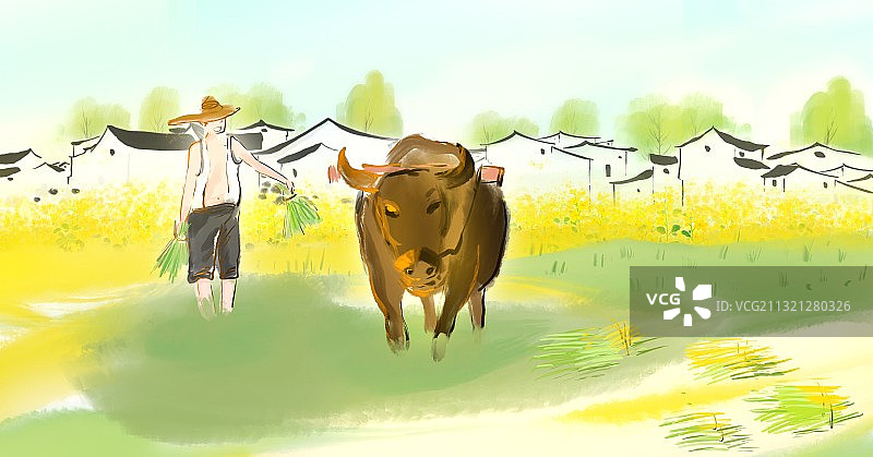 春天农村农田里耕种插秧的农民与耕牛图片素材