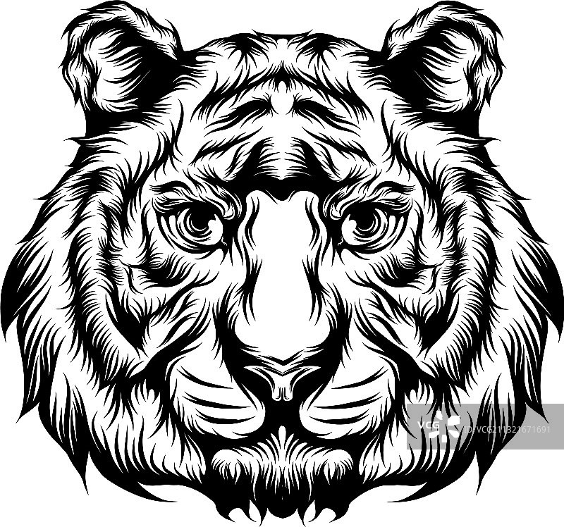 老虎单头纹身创意图片素材
