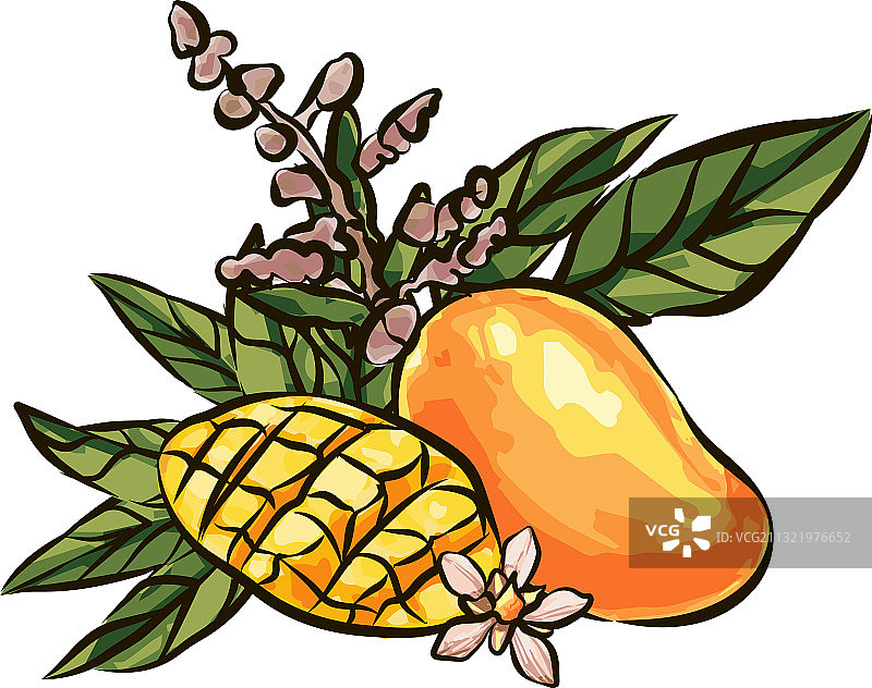 芒果水果素描风格手绘海报图片素材