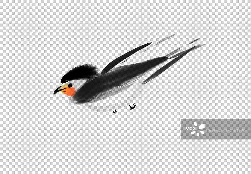春天元素鸟类燕子飞翔图片素材