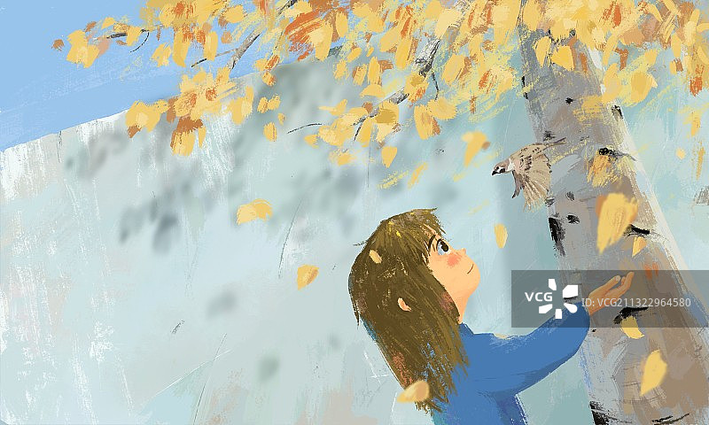 白桦树下的女生和麻雀图片素材