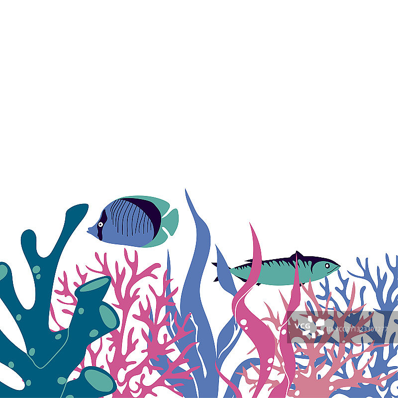 漂浮着水下藻类和鱼类的海洋生物图片素材