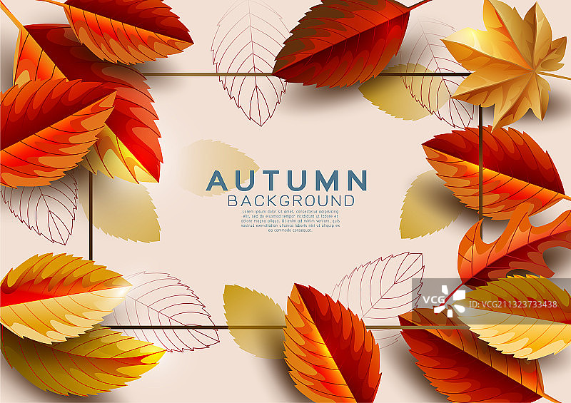 秋天的背景装饰与秋天的树叶图片素材