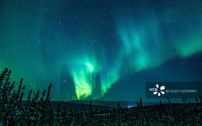 低角度的北极光对天空在晚上，费尔班克斯，阿拉斯加，美国，美国图片素材