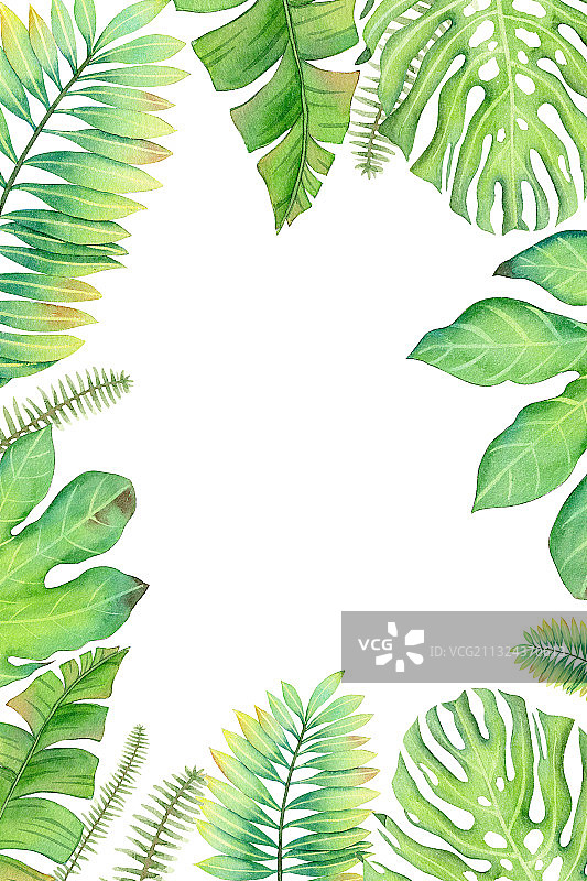 手绘植物绿叶芭蕉叶请柬装饰框背景素材元素插画图片素材