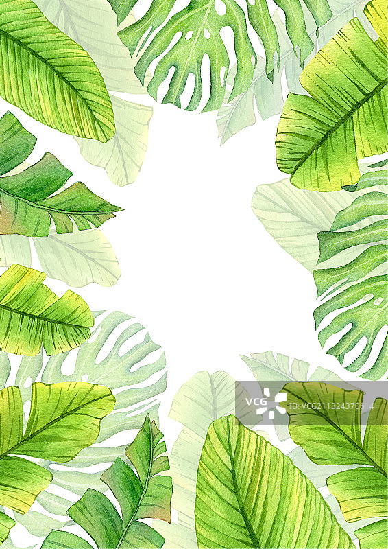手绘植物绿叶芭蕉叶请柬装饰框背景素材元素插画图片素材