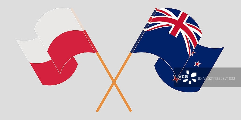交叉挥舞波兰和新西兰的旗帜图片素材