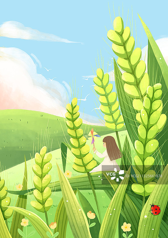 小满节气小麦夏日夏季风景插画节气海报图片素材