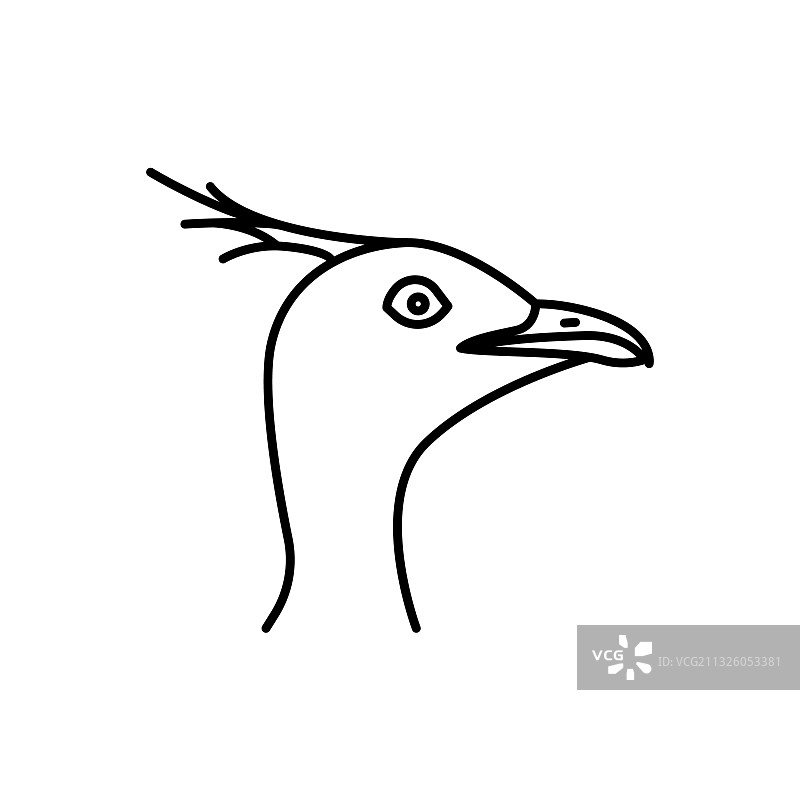 鸟类种类线图标孤立在白色图片素材