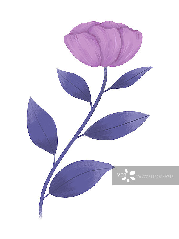 单朵紫色花素材花卉元素插画图片素材