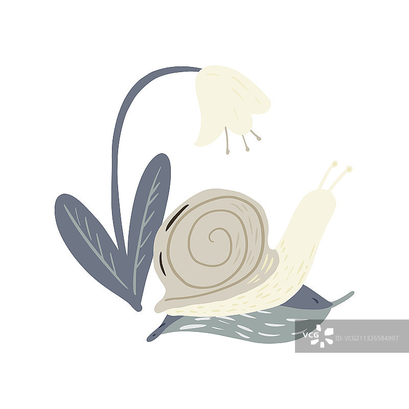 组成蜗牛在叶上，花在白色上图片素材