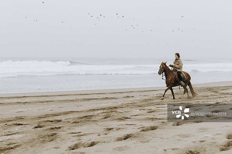 独立的年轻女子沿着海滩骑马，秘鲁图片素材