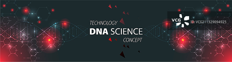 有DNA的科学模板墙纸或横幅图片素材
