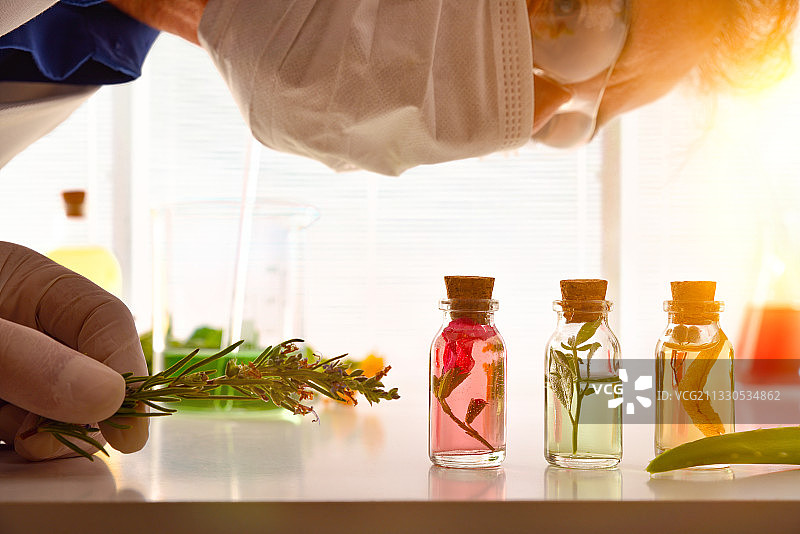 实验室里的化学家正在观察装有植物精华的瓶子图片素材