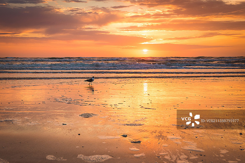 日落时的海滩景色图片素材