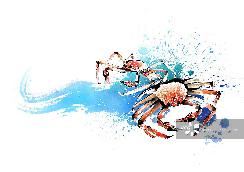 用笔触画两只螃蟹和海浪图片素材