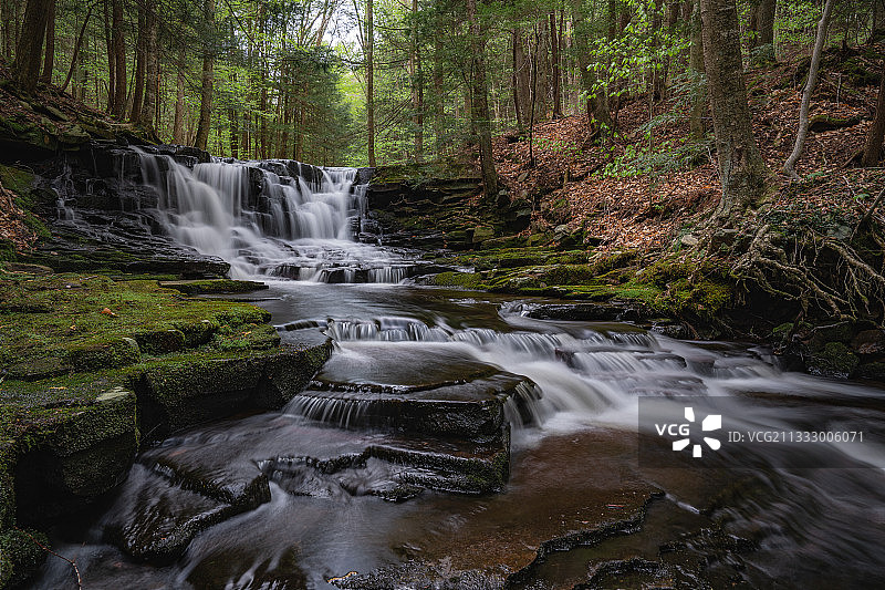 森林瀑布的风景，Loyalsock州森林，美国，美国图片素材