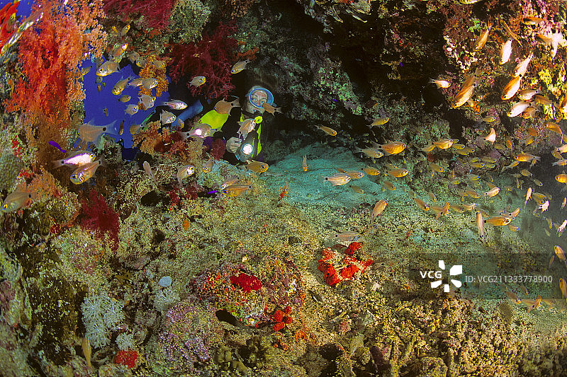 珊瑚礁和潜水员Les 7 pitons萨法加红海埃及图片素材