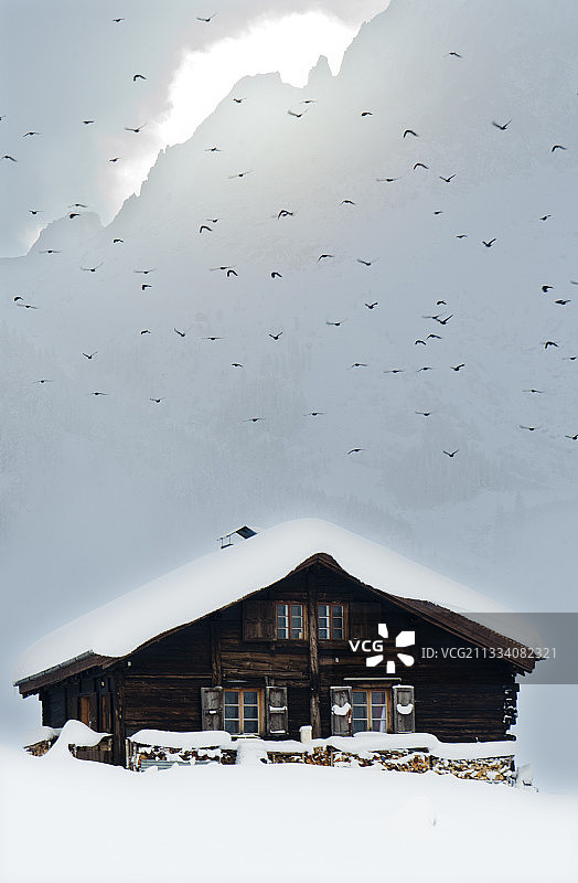 在法国阿尔卑斯山的薄雾中，chugh飞过一座小木屋图片素材