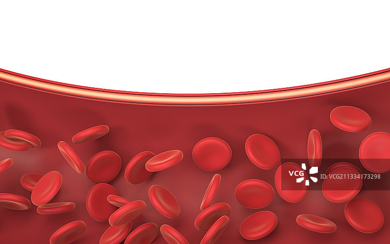 血管中的红细胞 3D渲染图片素材
