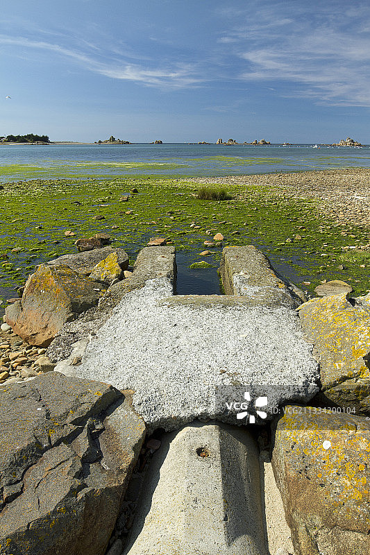 绿藻(石莼spp)在一个沟渠的出口，Porz Scaff, Plougrescant, Côtes-d'Armor，布列塔尼，法国图片素材