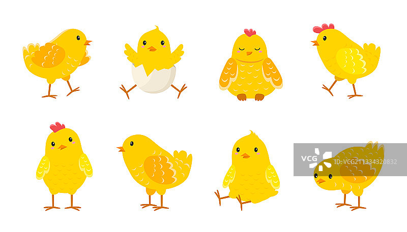 卡通复活节小鸡与农场的小鸟图片素材