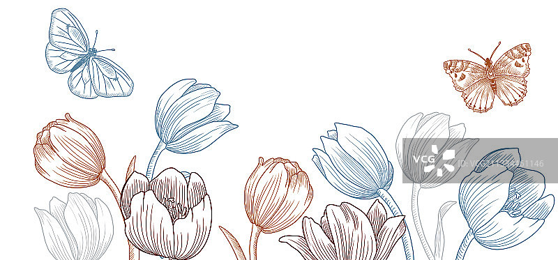 绘制春天的模板与郁金香花图片素材