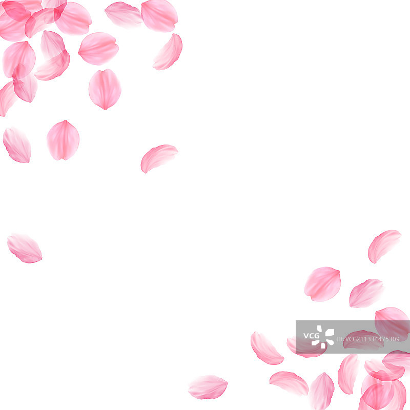 樱花花瓣飘落的浪漫的粉红色丝图片素材
