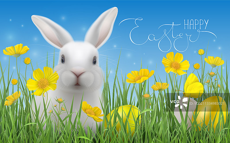 复活节贺卡和草里的野兔图片素材