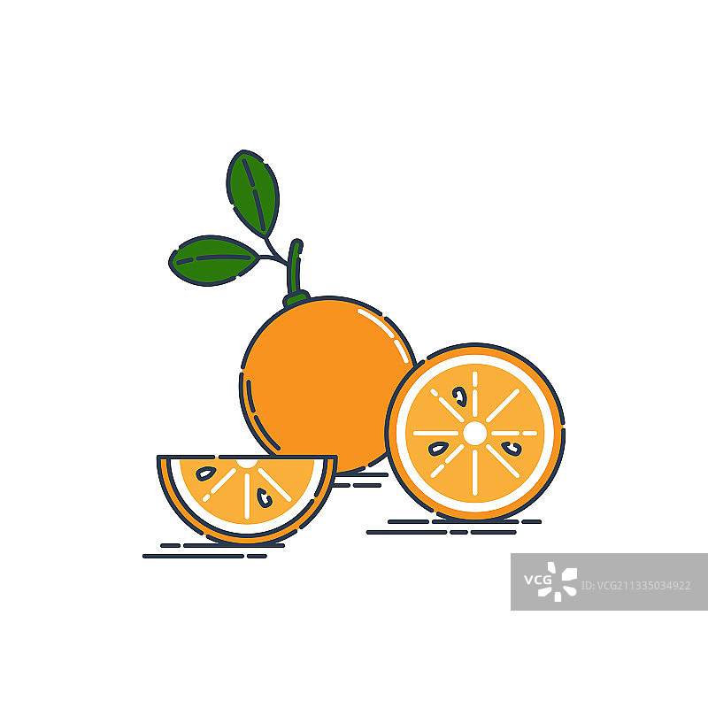 橙子或橙子切成两半图片素材