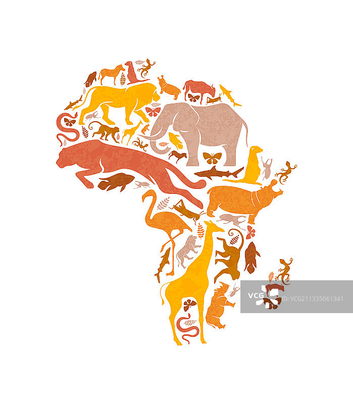野生动物图标非洲地图形状概念孤立图片素材
