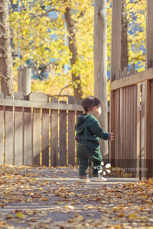 金色的树林围栏里玩落叶的男婴图片素材