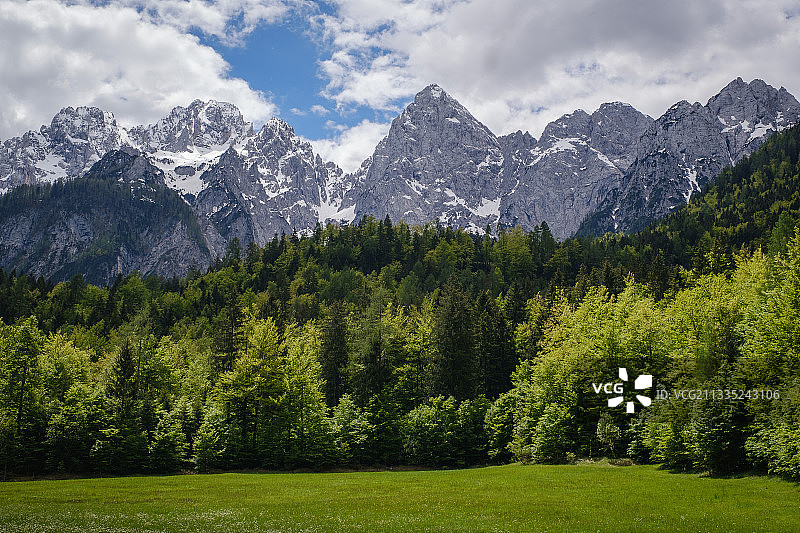 斯洛文尼亚戈日德马尔图尔耶克，松树和山脉映衬着天空的美丽景色图片素材