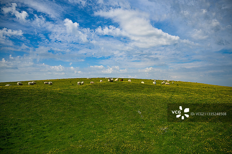 田野对天空的风景，诺顿巴伐特，英国，英国图片素材