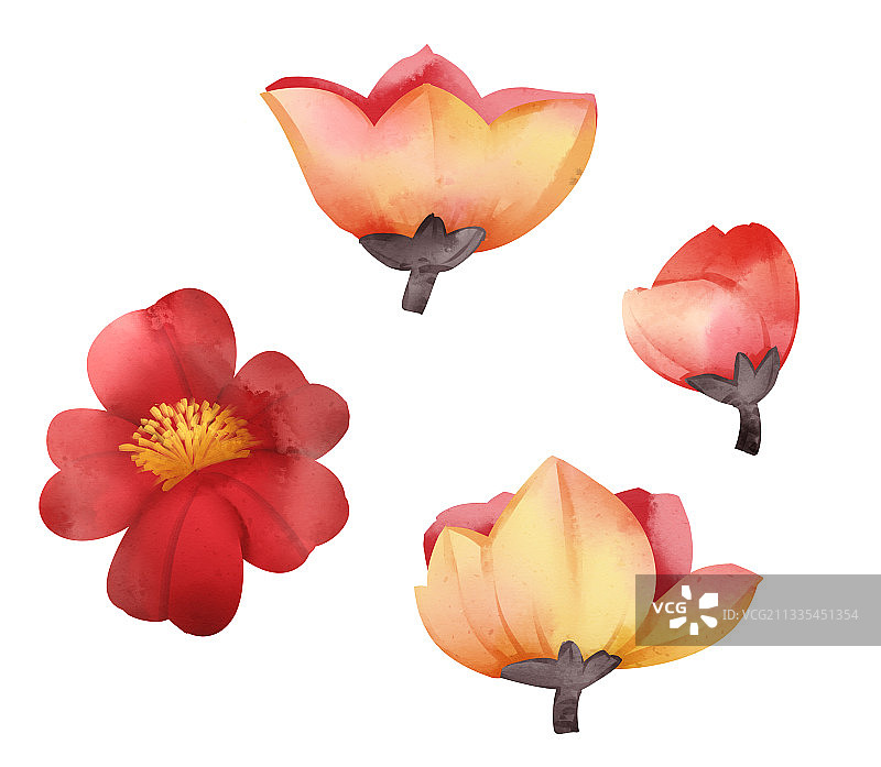 中国风木棉花花朵插画元素图片素材