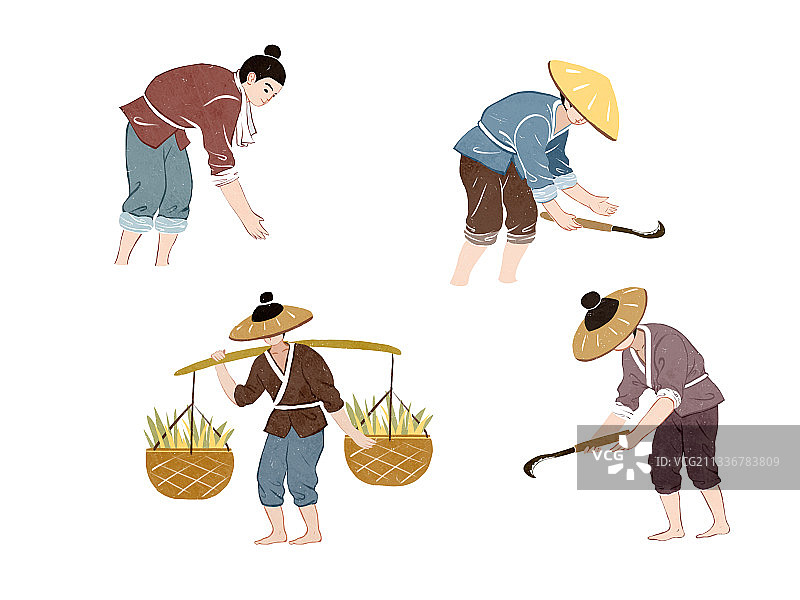 水稻种植过程图片素材