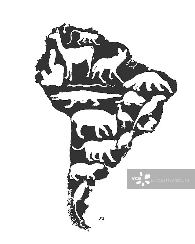南美洲大陆地图动物剪影图片素材