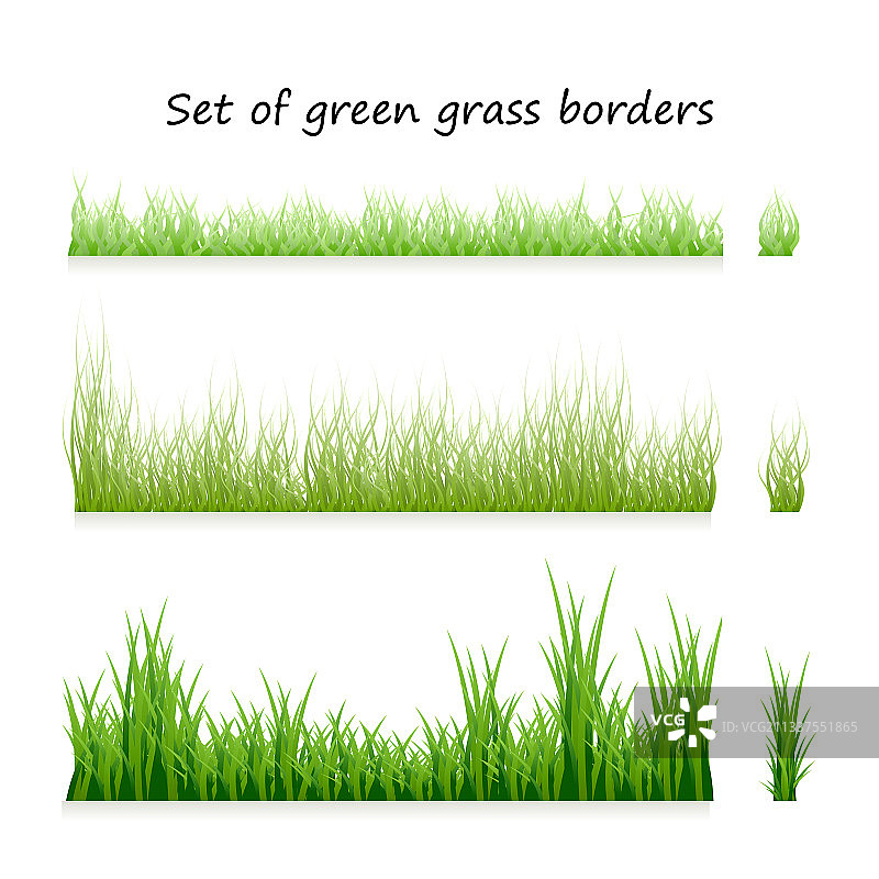 设置绿草边界孤立在白色图片素材