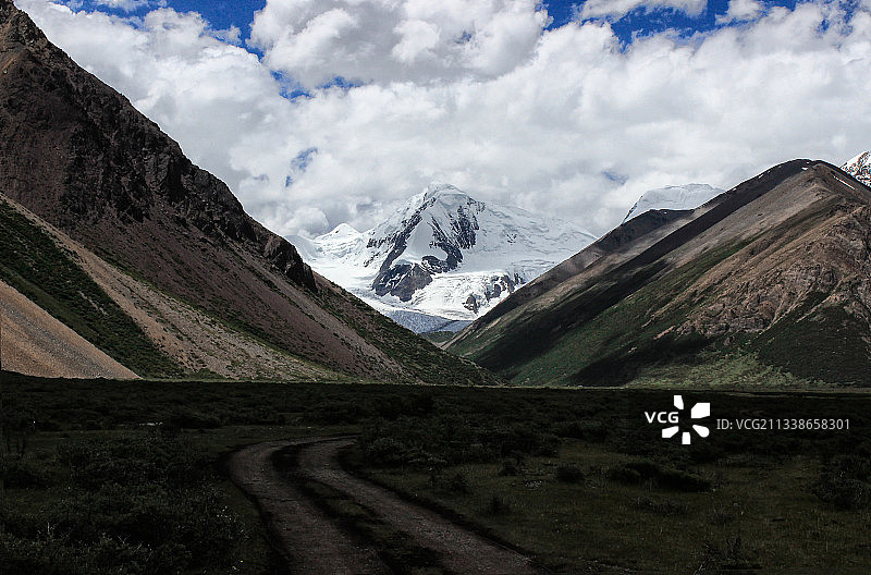 西藏然乌来古冰川雪山冰河生态动植物景观图片素材