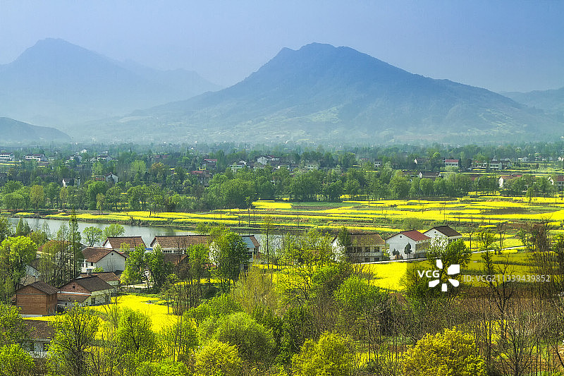 陕西汉中的油菜花海，乡村春天的气息与味道图片素材