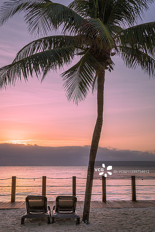 棕榈树的剪影在日落的天空，里维埃拉玛雅，金塔纳罗奥，墨西哥图片素材
