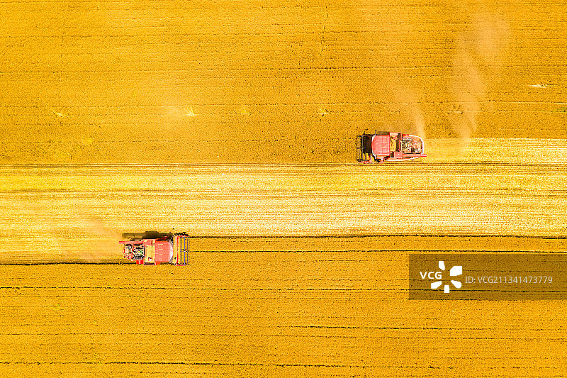 夏季河南黄河边麦田成熟联合收割机收获场景航拍正上方视角图片素材