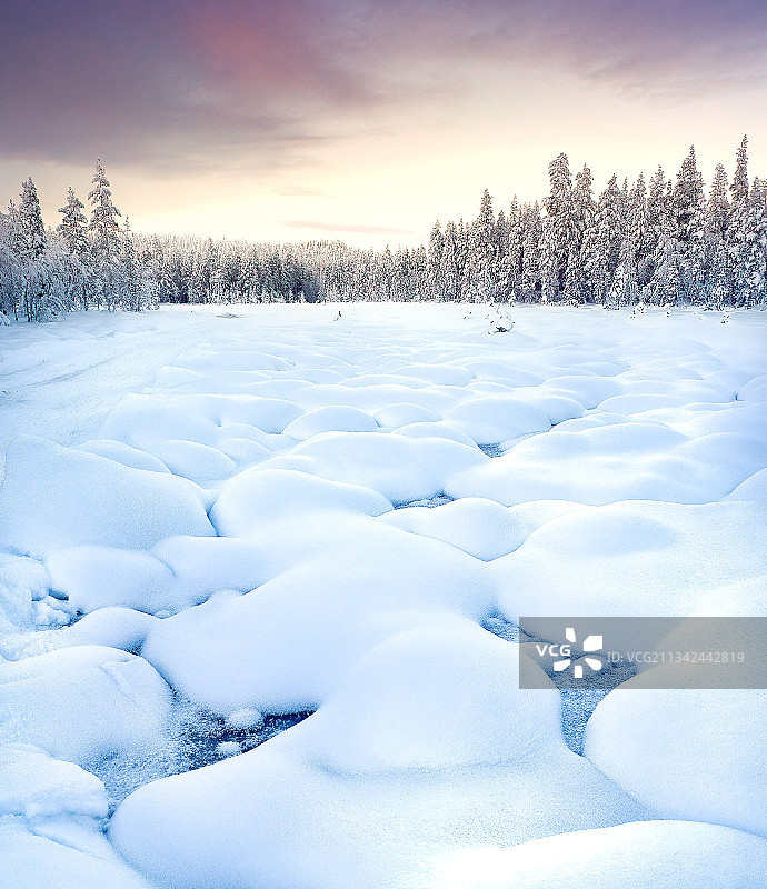 芬兰，拉波尼，日落时天空中白雪覆盖的风景图片素材