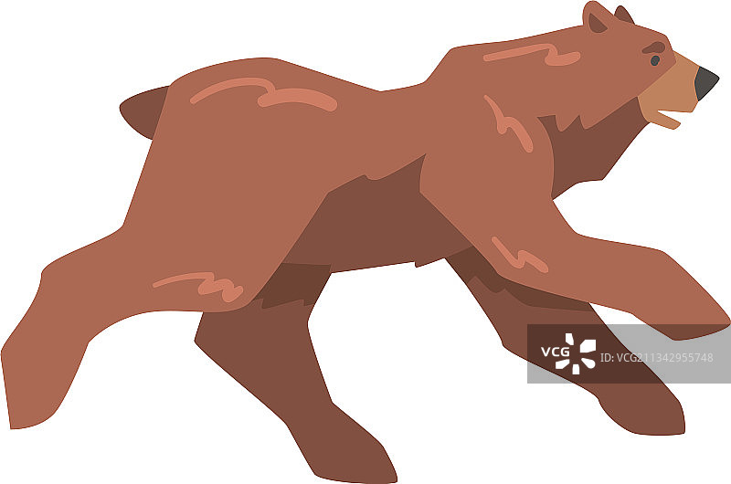 奔跑的棕熊大型野生食肉哺乳动物图片素材
