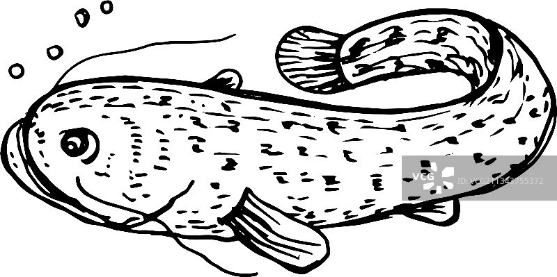 鱼海鲜图形涂鸦草图打印图片素材