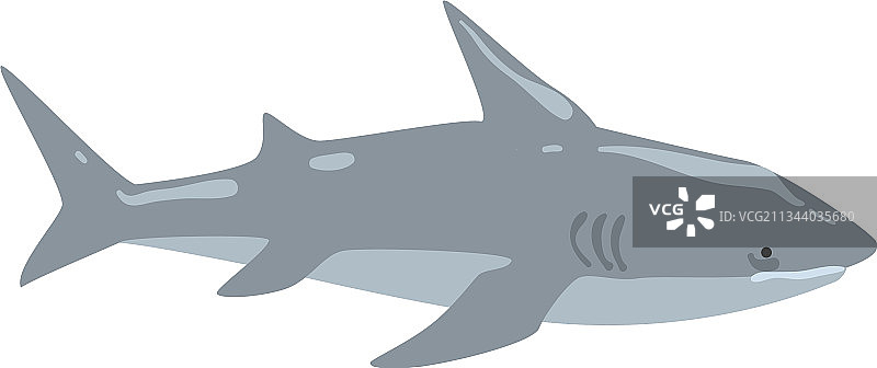 鲨鱼海洋捕食鱼类动物卡通图片素材