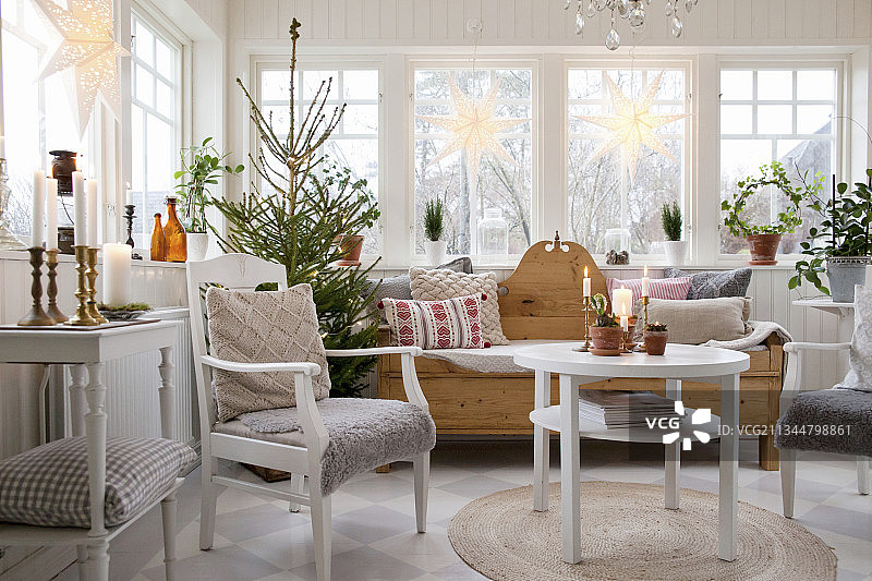斯堪的纳维亚风格温室中的圣诞树图片素材