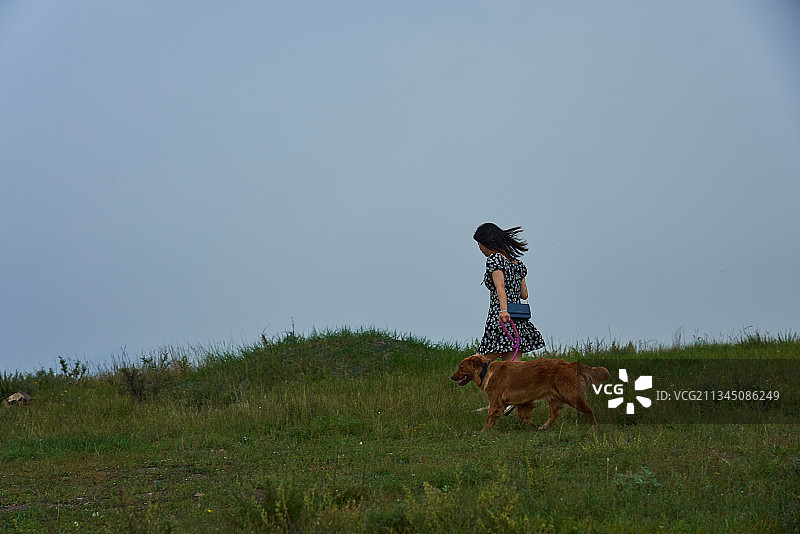 青年女人牵着宠物狗在草原上图片素材